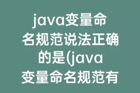 java变量命名规范说法正确的是(java变量命名规范有哪些)