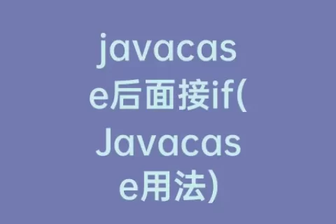 javacase后面接if(Javacase用法)