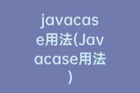 javacase用法(Javacase用法)