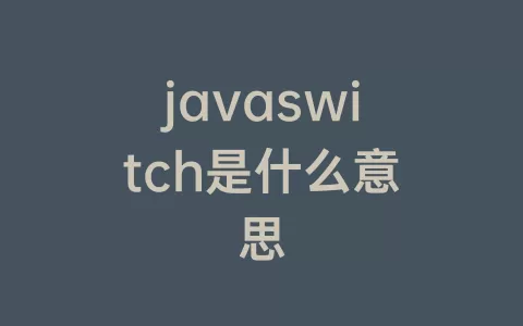 javaswitch是什么意思