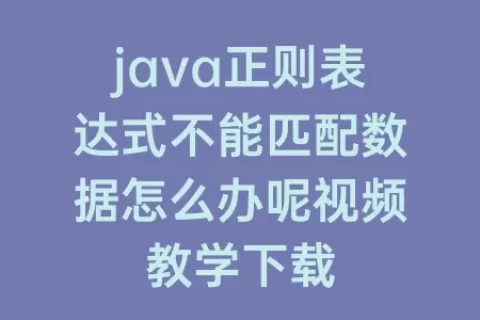 java正则表达式不能匹配数据怎么办呢视频教学下载