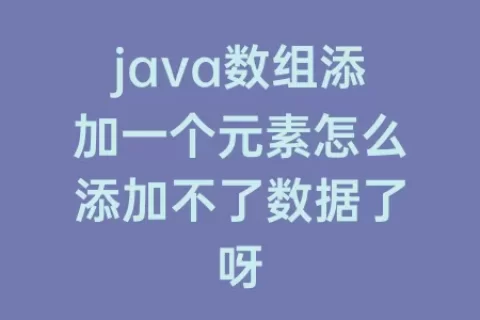java数组添加一个元素怎么添加不了数据了呀