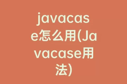 javacase怎么用(Javacase用法)