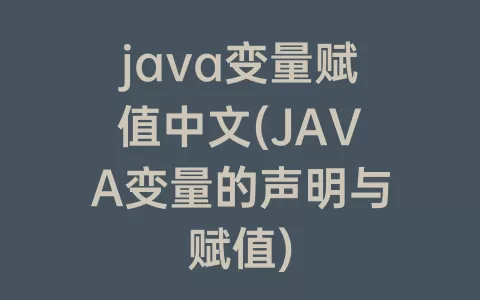 java变量赋值中文(JAVA变量的声明与赋值)
