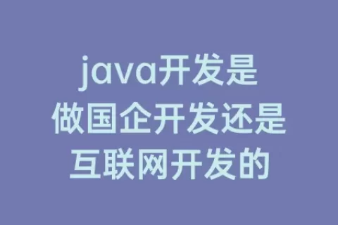 java开发是做国企开发还是互联网开发的