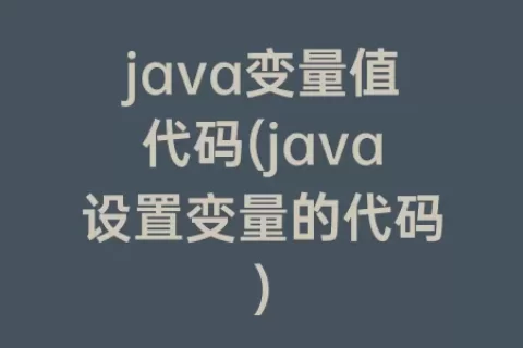 java变量值代码(java设置变量的代码)