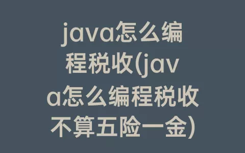 java怎么编程税收(java怎么编程税收不算五险一金)