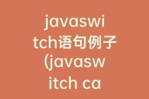 javaswitch语句例子(javaswitch case语句例子)
