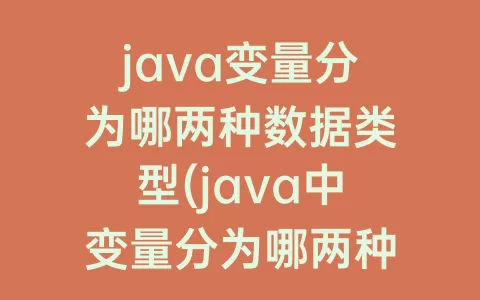 java变量分为哪两种数据类型(java中变量分为哪两种)