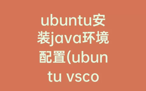 ubuntu安装java环境配置(ubuntu vscode配置c语言环境)