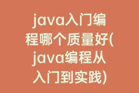 java入门编程哪个质量好(java编程从入门到实践)