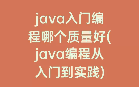 java入门编程哪个质量好(java编程从入门到实践)