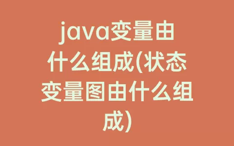 java变量由什么组成(状态变量图由什么组成)