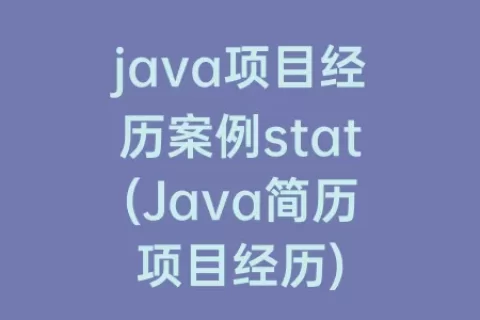 java项目经历案例stat(Java简历项目经历)