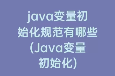 java变量初始化规范有哪些(Java变量初始化)
