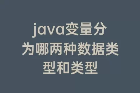 java变量分为哪两种数据类型和类型