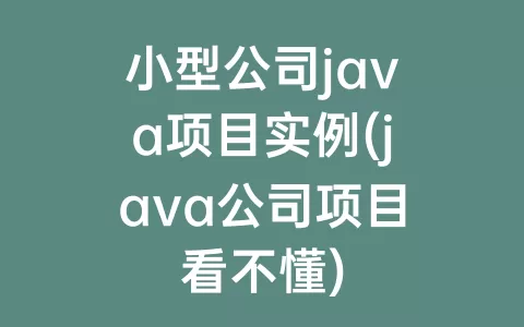 小型公司java项目实例(java公司项目看不懂)