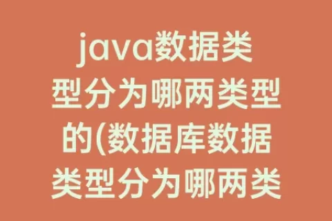 java数据类型分为哪两类型的(数据库数据类型分为哪两类)