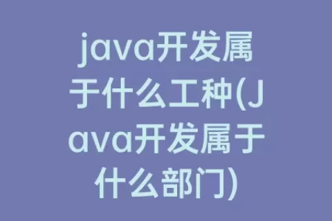 java开发属于什么工种(Java开发属于什么部门)