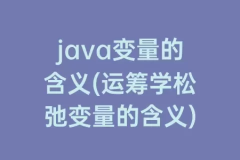 java变量的含义(运筹学松弛变量的含义)