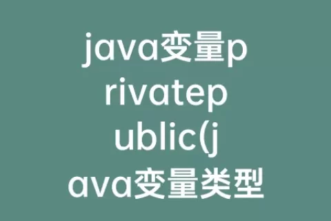 java变量privatepublic(java变量类型)