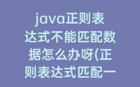 java正则表达式不能匹配数据怎么办呀(正则表达式匹配一行数据)