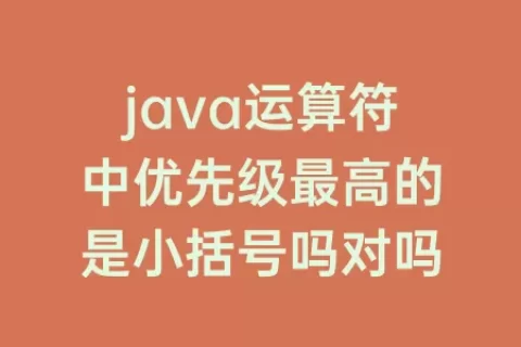 java运算符中优先级最高的是小括号吗对吗