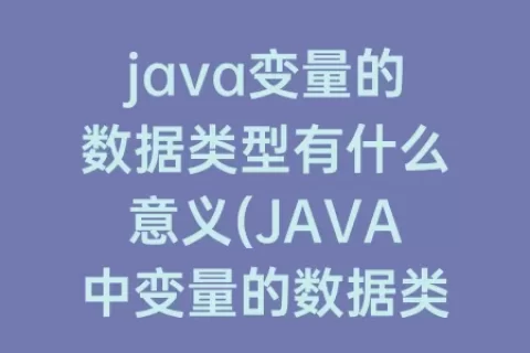 java变量的数据类型有什么意义(JAVA中变量的数据类型分为)