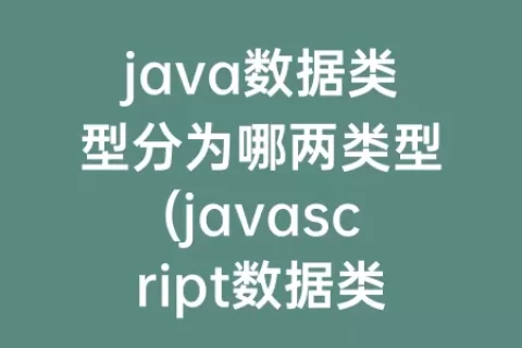 java数据类型分为哪两类型(javascript数据类型分为哪两类)