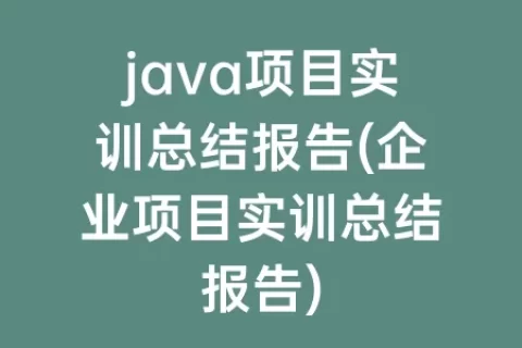 java项目实训总结报告(企业项目实训总结报告)