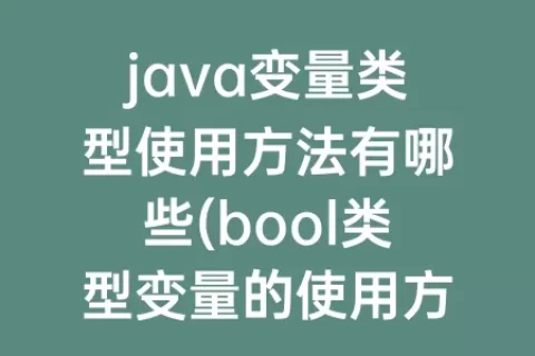 java变量类型使用方法有哪些(bool类型变量的使用方法)