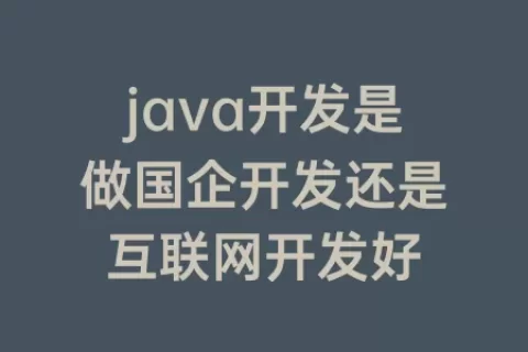 java开发是做国企开发还是互联网开发好