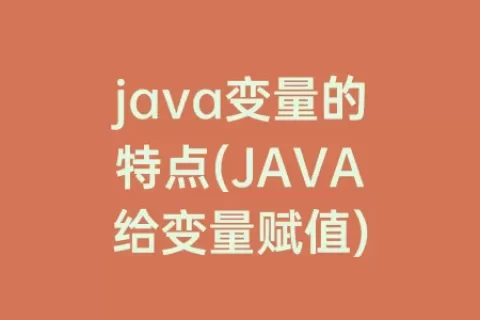 java变量的特点(JAVA给变量赋值)