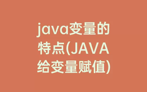 java变量的特点(JAVA给变量赋值)