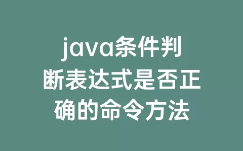 java条件判断表达式是否正确的命令方法