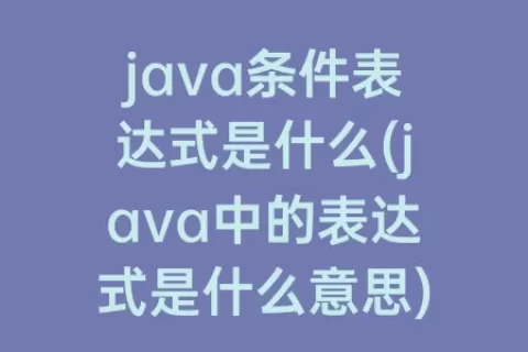 java条件表达式是什么(java中的表达式是什么意思)
