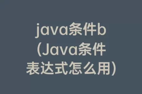 java条件b(Java条件表达式怎么用)