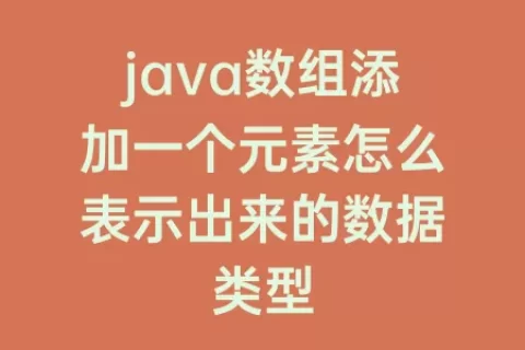 java数组添加一个元素怎么表示出来的数据类型