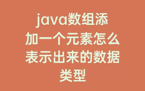 java数组添加一个元素怎么表示出来的数据类型