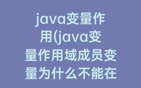 java变量作用(java变量作用域成员变量为什么不能在括号里赋值)