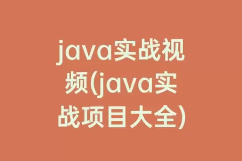 java实战视频(java实战项目大全)