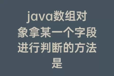java数组对象拿某一个字段进行判断的方法是