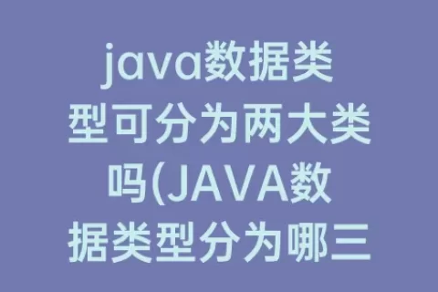 java数据类型可分为两大类吗(JAVA数据类型分为哪三类)