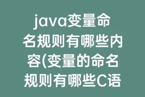 java变量命名规则有哪些内容(变量的命名规则有哪些C语言)