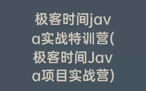 极客时间java实战特训营(极客时间Java项目实战营)