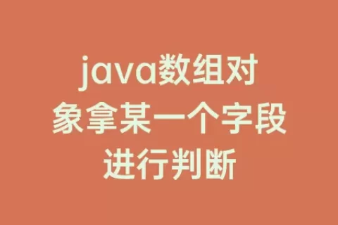 java数组对象拿某一个字段进行判断