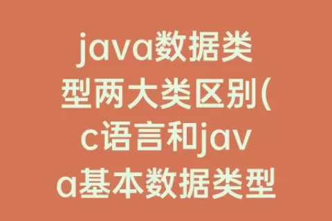 java数据类型两大类区别(c语言和java基本数据类型的区别)