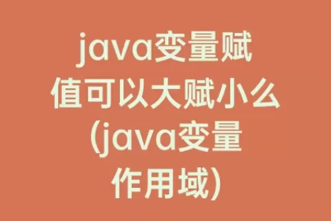 java变量赋值可以大赋小么(java变量作用域)