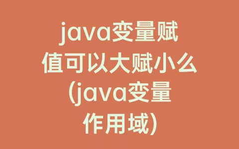 java变量赋值可以大赋小么(java变量作用域)