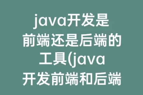 java开发是前端还是后端的工具(java开发前端和后端)